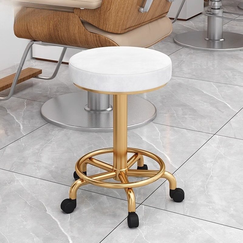 Modern Simple Beauty Stool Pro - Beauty Makeup Chair avaliação e preço