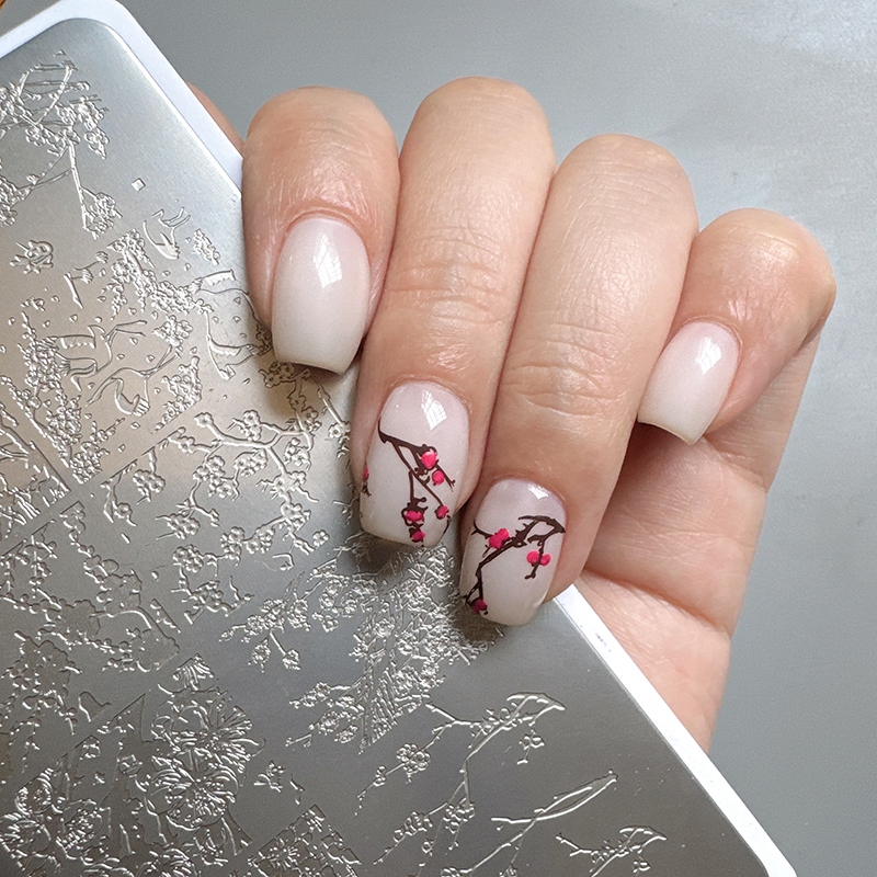 XMQ STAMPING NAIL ART PLATES F - Nail Art Stamping Kit avaliação e preço